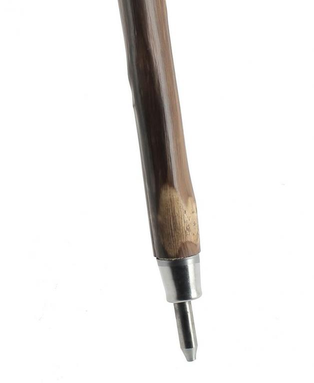 bton de marche chataignier hapi mdical cherbourg