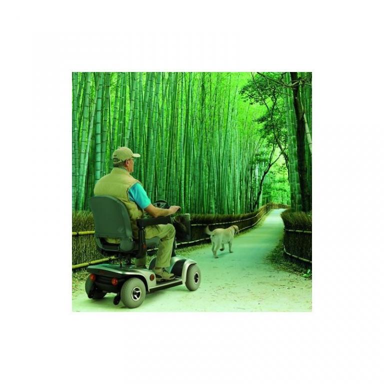 Scooter lectrique Invacare Lo - Hapi mdical